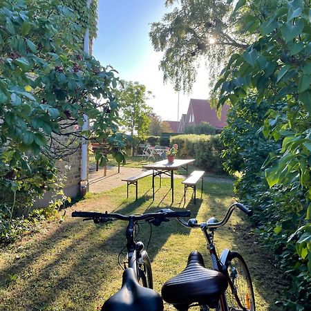 Hemmet Simrishamns Vandrarhem Och B&B ภายนอก รูปภาพ