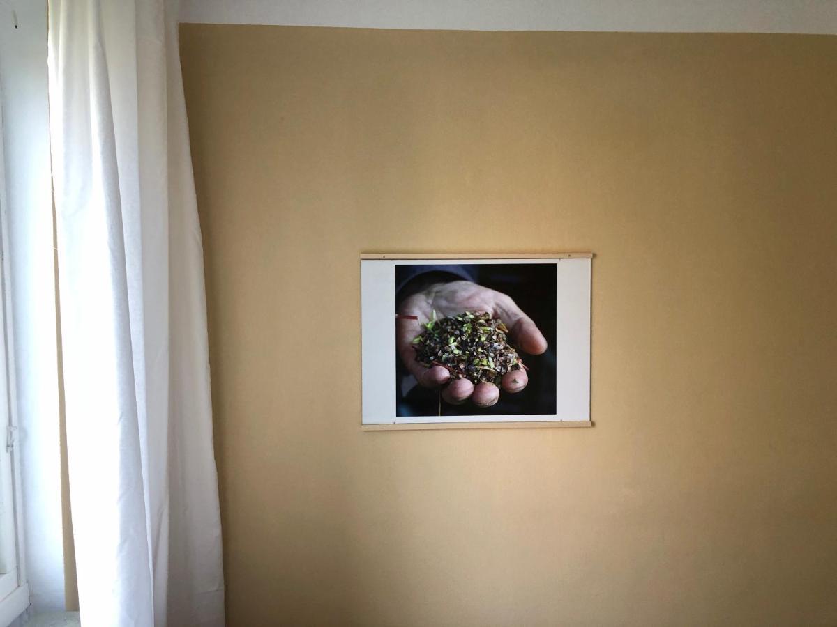 Hemmet Simrishamns Vandrarhem Och B&B ภายนอก รูปภาพ